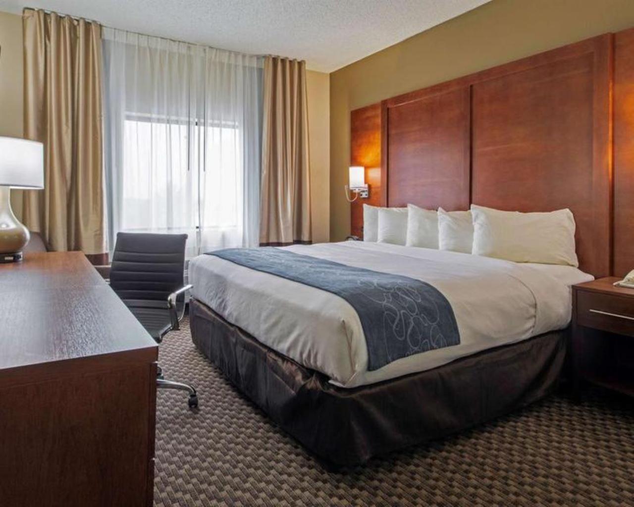 Comfort Inn&suites Cruces Mesilla Las Cruces
